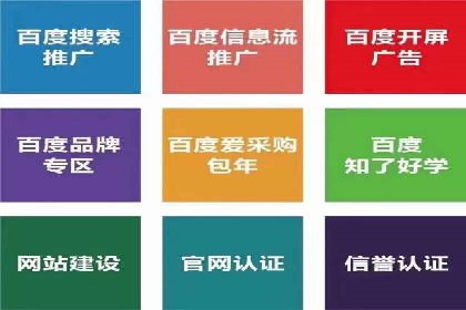 某某SEM团队成功提升网站流量与转化率的实战经验
